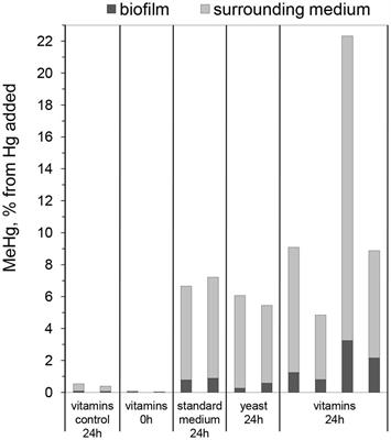 Methylmercury formation in biofilms of Geobacter sulfurreducens